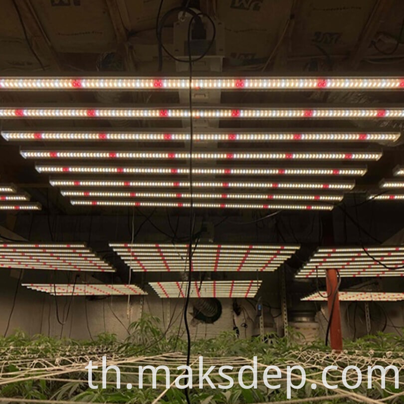 led light for growing indoor plants